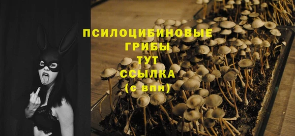 твердый Верхний Тагил