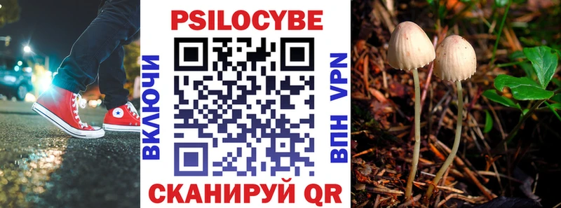 Галлюциногенные грибы MAGIC MUSHROOMS  Кинель 